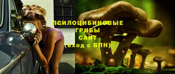 2c-b Верея