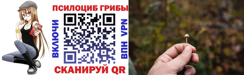 Псилоцибиновые грибы мицелий  Электроугли 